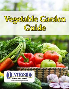 Vegetable Garden Guide